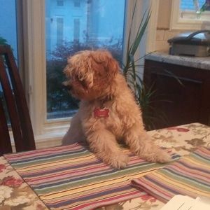 Meet your Posher, John